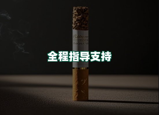 核心优势